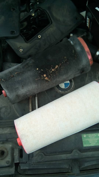 Illustration for article titled So, yeah, about that air filter...